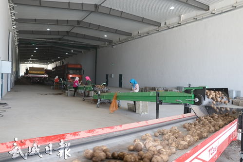 甘肃达利食品马铃薯储存气氧库建成投运